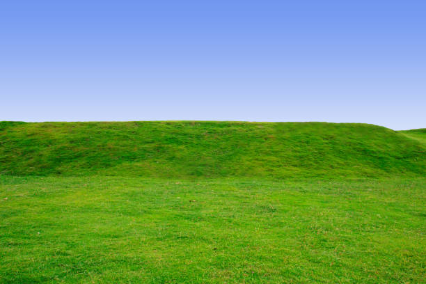 istock Landscape of green field and blue space backgroud 687148746