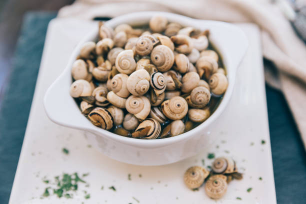 カタツムリ、おいしいフランス語またはスペイン語のデリカテッセン、フランス、スペインの伝統的な料理。タパス、前菜、グルメ、食品のある静物 - gourmet snail food escargot ストックフォトと画像
