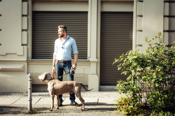 istock Taking the dog for a walk in the city 687156508