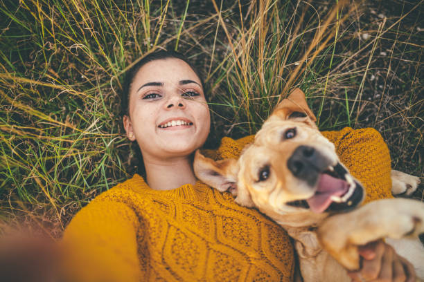 Happy selfie! Happy dog and his favorite person taking selfie on camping in forest labrador retriever photos stock pictures, royalty-free photos & images