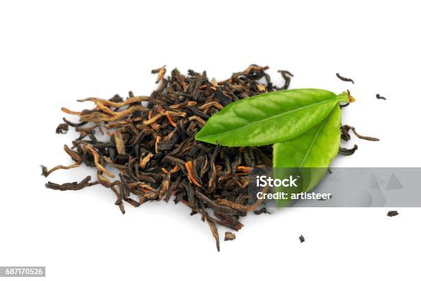 Tea Stock Photo - Download Image Now - Antioxidant, Branch - Plant Part, Bud