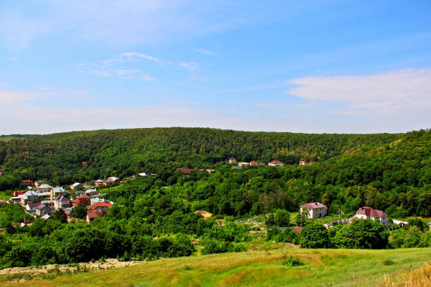 View of an elite cottage village among the forest in the summer.