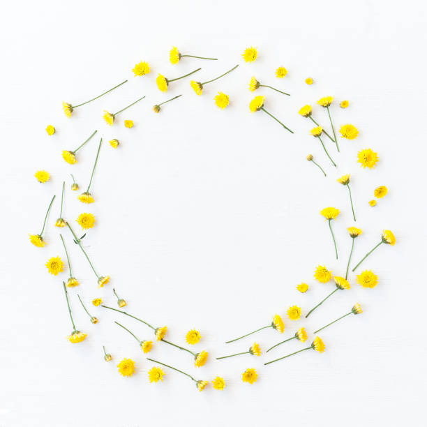 istock Wreath made of yellow flowers. Flat lay, top view 687174216