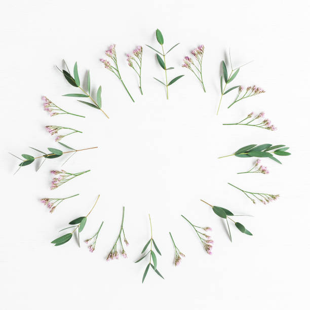 istock Frame made of pink flowers and eucalyptus branches 687174272