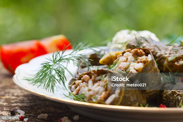 Stuffed Grape Leaves Stock Photo - Download Image Now - Appetizer, Lebanese Culture, Lebanon - Country