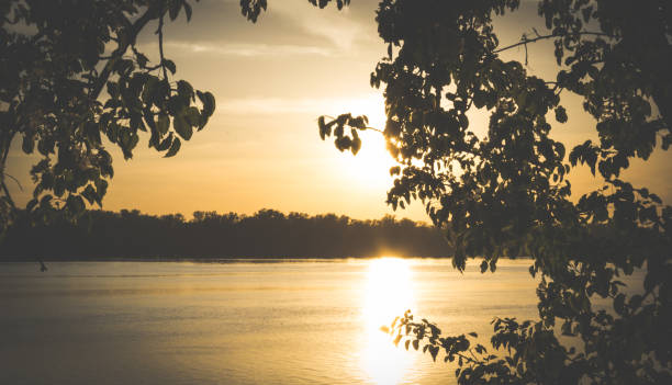 istock warm summer evening. A picturesque sunset over the river 687184422