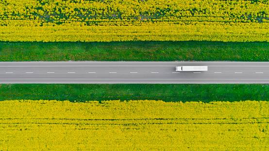 Aerial view of truck on highway in the countryside near the yellow field of rapeseed, Ukraine