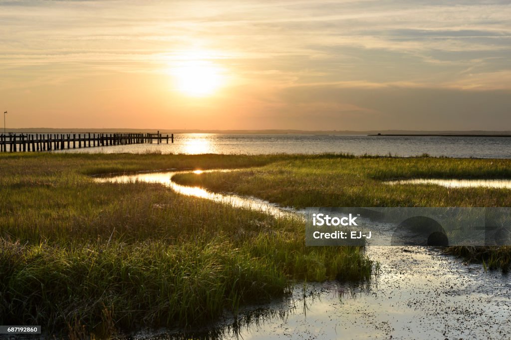 Ocean salt marsh with sea grass and dock at sunset View of sunset over ocean inlet with green grasses and dock. Marsh Stock Photo