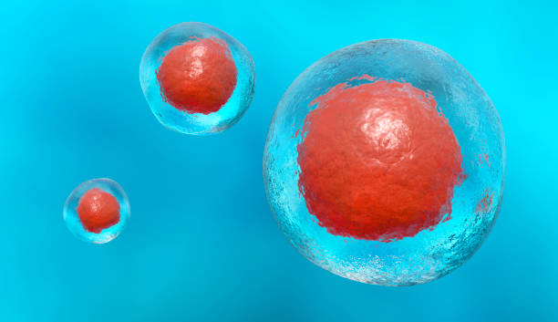 줄기 cell - stem cell human cell animal cell science stock illustrations