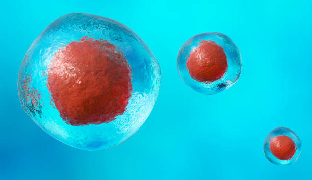 줄기 cell - stem cell human cell animal cell science stock illustrations