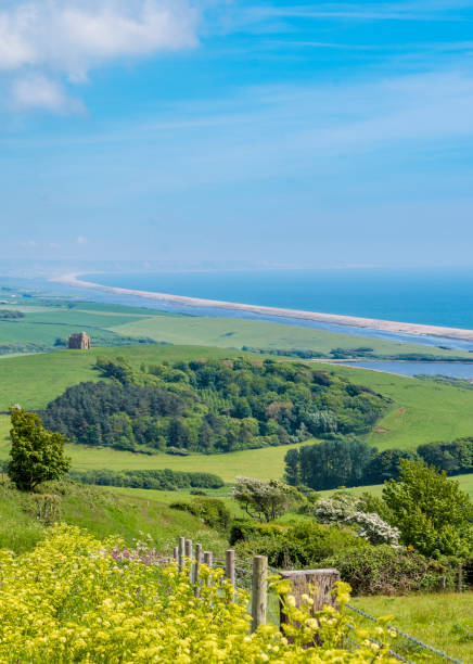 St Catherine's Chapel and Chesil Beach in Dorset St Catherine's Chapel and Chesil Beach in Dorset dorset uk stock pictures, royalty-free photos & images