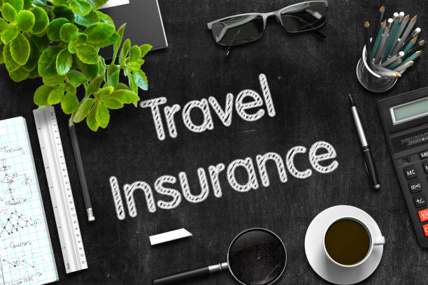 istock Black Chalkboard with Travel Insurance. 3D Rendering 687197032