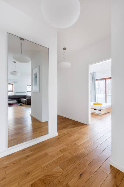 Hall with big mirror Hall in modern apartment with big mirror and passage to the rooms parquet floor perspective stock pictures, royalty-free photos & images