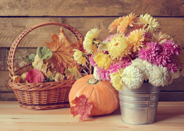 istock Still life with a bouquet of chrysanthemums. 687209644