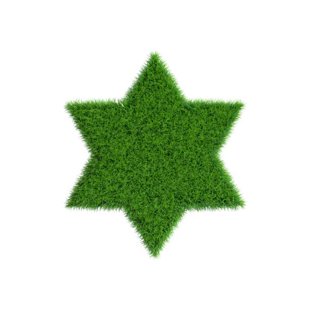 istock Patch of grass in form of six-pointed star. 687210234