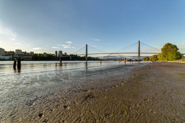 river beach before sunset river beach before sunset new westminster stock pictures, royalty-free photos & images