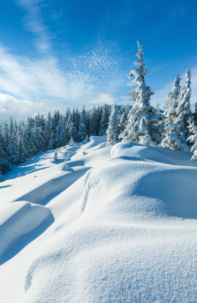 겨울 눈 덮인 산비탈에 눈표류 - european alps carpathian mountain range evergreen tree tree 뉴스 사진 이미지