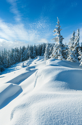 Snowdrifts on winter snow covered mountainside and fir trees on hill top