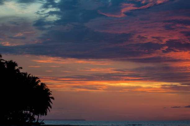 Palm tree silhouettes and evening clouds Palm tree silhouettes and evening clouds Mentawai Islands stock pictures, royalty-free photos & images