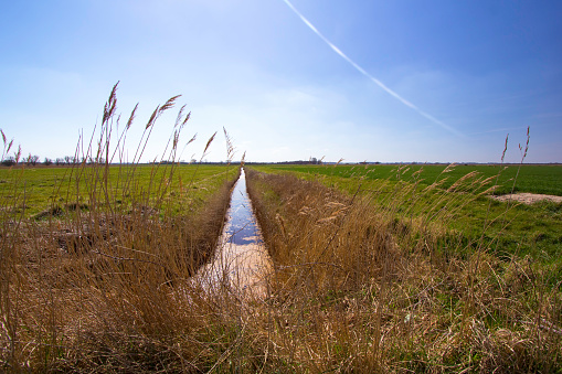 Zanja de drenaje de tierras agrícolas entre campos de pasto rural. photo