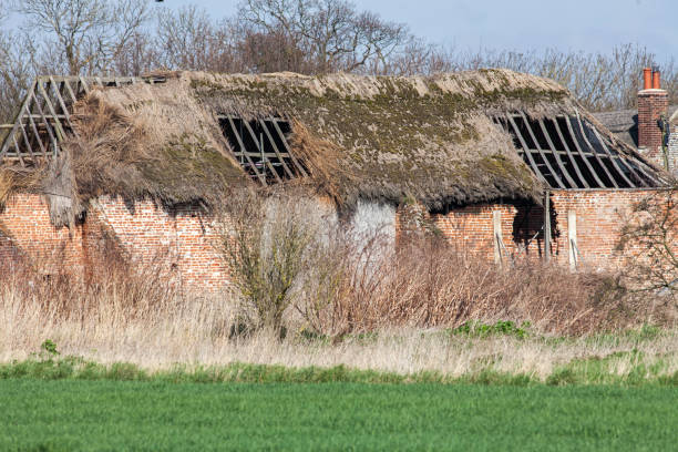 dilapidated derelict thatched roof barn conversion project - thatched roof red brick roof imagens e fotografias de stock