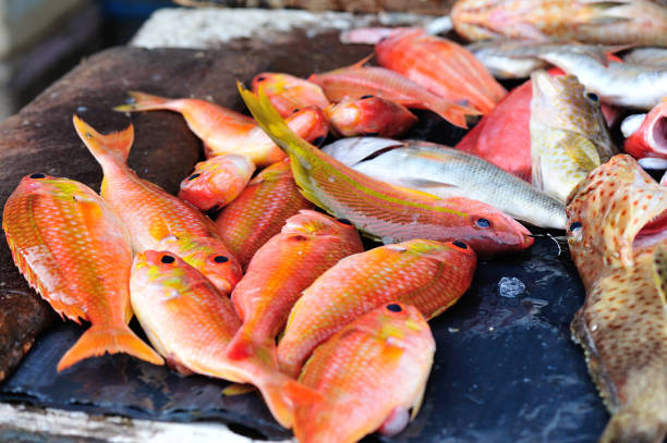 istock fresh fish selling on the market 687241526