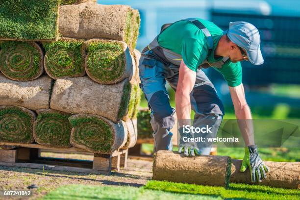 Natürliche Gras Rasen Installer Stockfoto und mehr Bilder von Gartengestaltung - Gartengestaltung, Geschäftsleben, Männer