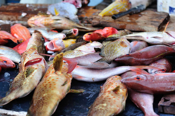 istock fresh fish selling on the market 687244614