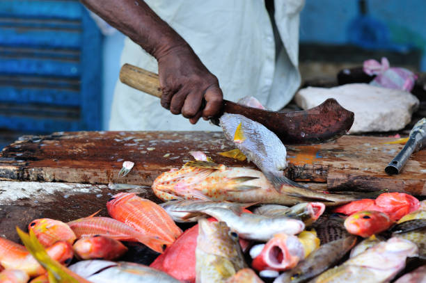 istock fresh fish selling on the market 687244882