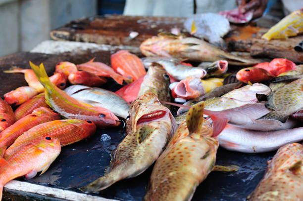 istock fresh fish selling on the market 687250042