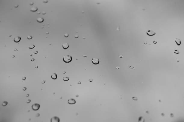 istock Black and white drops background on the window. 687250636