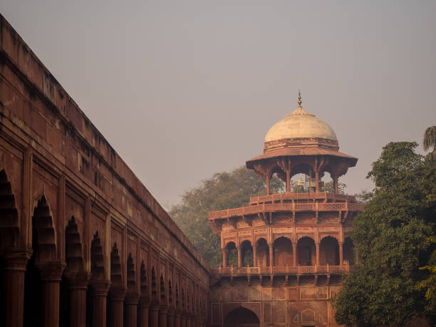 istock Visiting the Taj Mahal in Agra 687254012