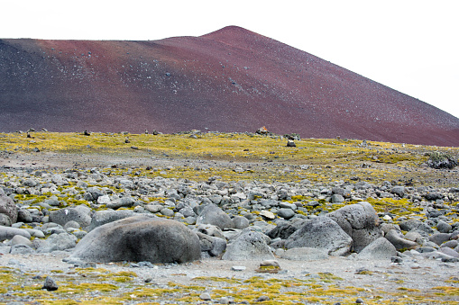 The colourful Penguin Island, a habitat for Chinstrap and Gentoo Penguins as well as Fur Seals.