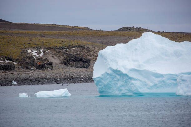 istock Antarctica: Iceberg off of Penguin Island 687254474