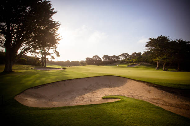 mornington peninsula golfplatz - golf landscape golf course tree stock-fotos und bilder