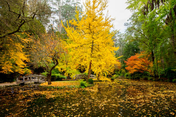 istock Alfred Nicholas Memorial Gardens 687262054