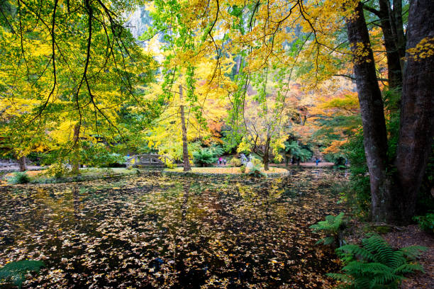 istock Alfred Nicholas Memorial Gardens 687262058