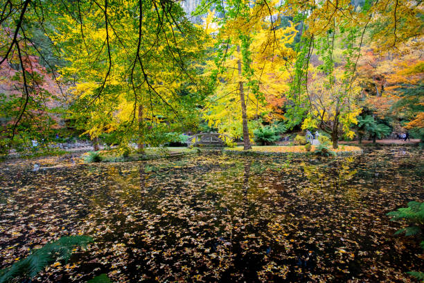 istock Alfred Nicholas Memorial Gardens 687262070