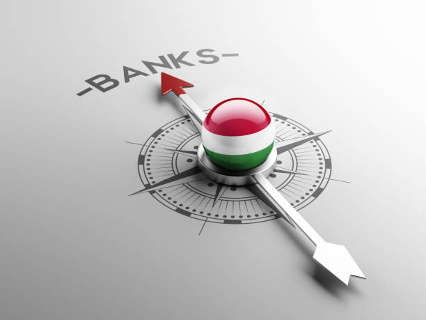 ilustraciones, imágenes clip art, dibujos animados e iconos de stock de concepto de bancos - hungary hungarian culture hungarian flag flag