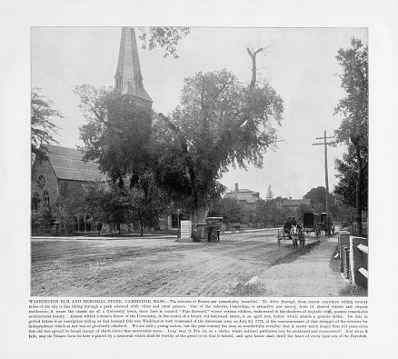 Antique American Photograph: Washington Elm and Memorial Stone, Cambridge, Massachusetts, United States, 1893: Original edition from my own archives. Copyright has expired on this artwork. Digitally restored.