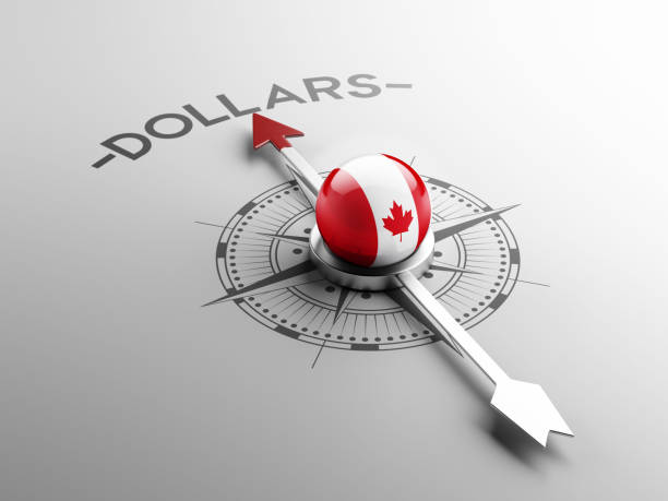 ilustraciones, imágenes clip art, dibujos animados e iconos de stock de concepto de dólares - canada investment dollar canadian flag