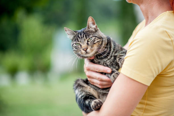istock Young Woman Holding Cat Outside 687287156