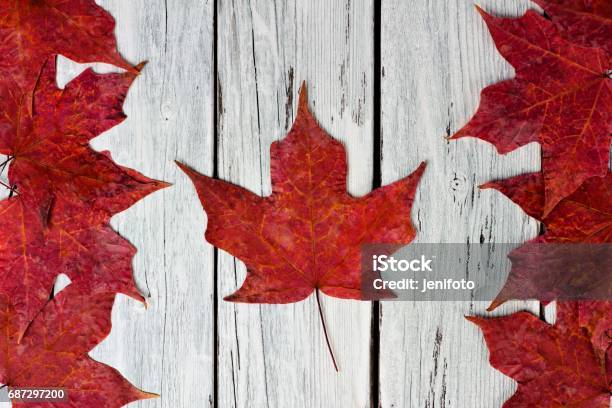 Canadian Flag Of Red Maple Leaves Over Weathered White Wood Stock Photo - Download Image Now