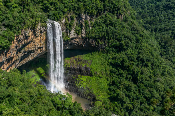 Caracol Waterfall One of the most visited spots in all of Brazil, caracol waterfall is located in Canela-RS. gramado stock pictures, royalty-free photos & images