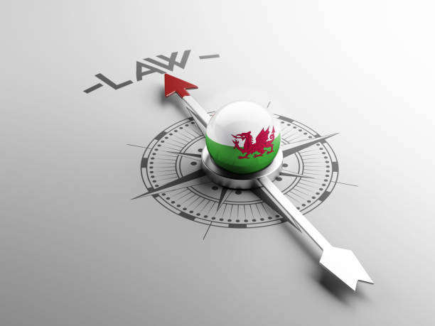 концепция права - welsh culture wales welsh flag dragon stock illustrations