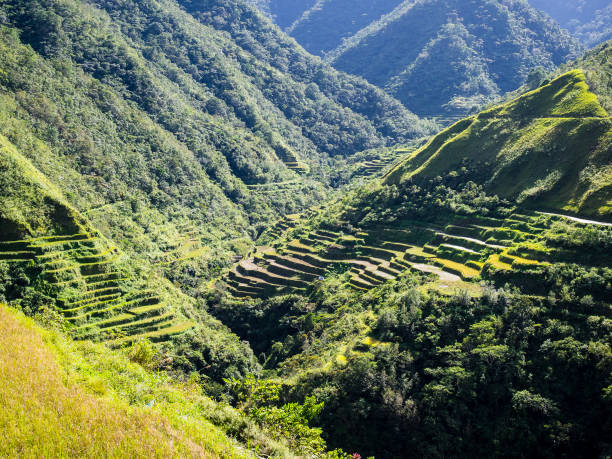 istock Rice terraces of Batad in Luzon, Philippines 687312744