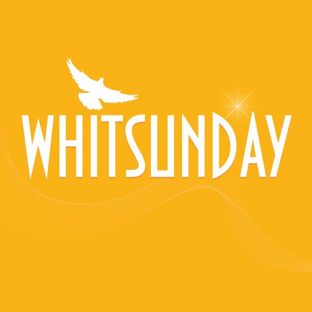 Illustration with a dove silhouette: Christian holiday of Pentecost also known as Whitsun, Whitsunday, Whit Sunday or just Whit. Illustration with  a dove silhouette: Christian holiday of Pentecost also known as Whitsun, Whitsunday, Whit Sunday or just Whit. Pigeon silhouette with text Whitsunday. whitsun stock illustrations