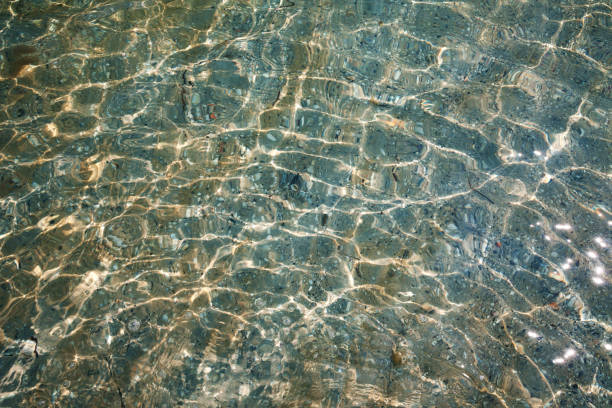 istock Water surface sea in sunny summer day 687315602