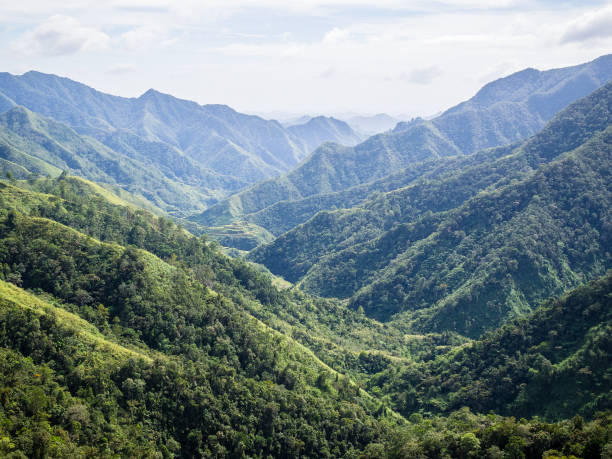 istock Rice terraces of Batad in Luzon, Philippines 687323832