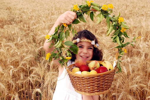 A little girl dressed in white holds a basket full of fresh fruit in a wheat field